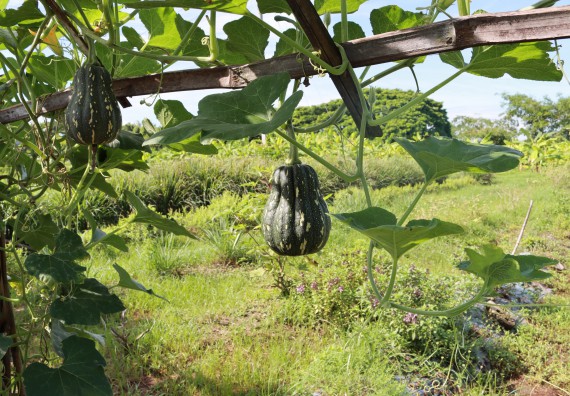 คณะวิทยาศาสตร์และเทคโนโลยี เข้าร่วมกิจกรรมBig Cleaning Day
