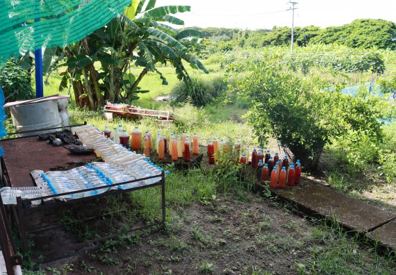 คณะวิทยาศาสตร์และเทคโนโลยี เข้าร่วมกิจกรรมBig Cleaning Day