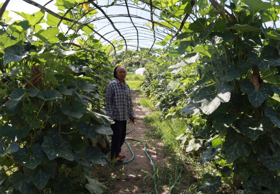 คณะวิทยาศาสตร์และเทคโนโลยี เข้าร่วมกิจกรรมBig Cleaning Day