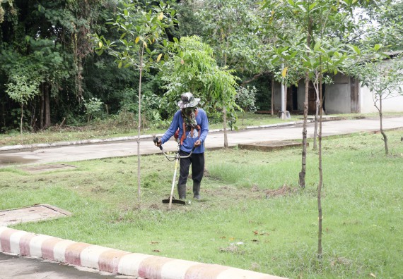 ภาพกิจกรรม คณะวิทยาศาสตร์และเทคโนโลยี เข้าร่วมกิจกรรมจิตอาสา Big Cleaning Day