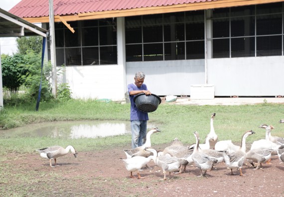 ภาพกิจกรรม คณะวิทยาศาสตร์และเทคโนโลยี เข้าร่วมกิจกรรมจิตอาสา Big Cleaning Day