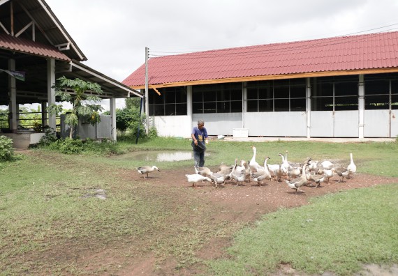 ภาพกิจกรรม คณะวิทยาศาสตร์และเทคโนโลยี เข้าร่วมกิจกรรมจิตอาสา Big Cleaning Day