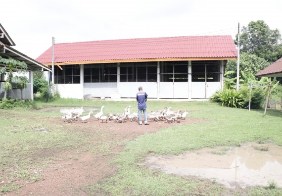 ภาพกิจกรรม คณะวิทยาศาสตร์และเทคโนโลยี เข้าร่วมกิจกรรมจิตอาสา Big Cleaning Day