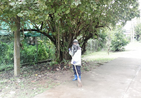 ภาพกิจกรรม คณะวิทยาศาสตร์และเทคโนโลยี เข้าร่วมกิจกรรมจิตอาสา Big Cleaning Day