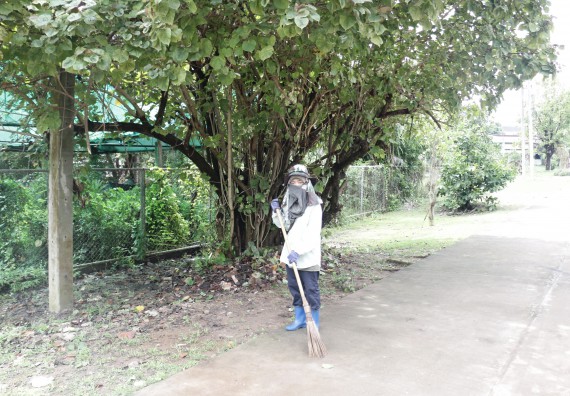 ภาพกิจกรรม คณะวิทยาศาสตร์และเทคโนโลยี เข้าร่วมกิจกรรมจิตอาสา Big Cleaning Day