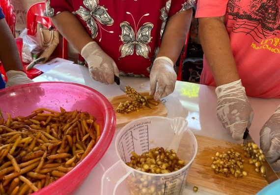 ภาพกิจกรรม  โครงการ 1 ตำบล 1 มหาวิทยาลัย ตำบลคุยบ้านโอง จัดกิจกรรมภายใต้โครงการส่งเสริมและพัฒนาฝีมือแรงงานชุมชน และยกระดับคุณภาพชีวิตและเศรษฐกิจชุมชน การนําเทคโนโลยีและสื่อออนไลน์