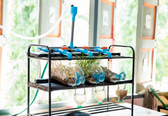 ภาพกิจกรรม  คณะวิทยาศาสตร์และเทคโนโลยี จัดค่ายวิทยาศาสตร์สัญจรโรงเรียนบ่อแก้ววิทยา 