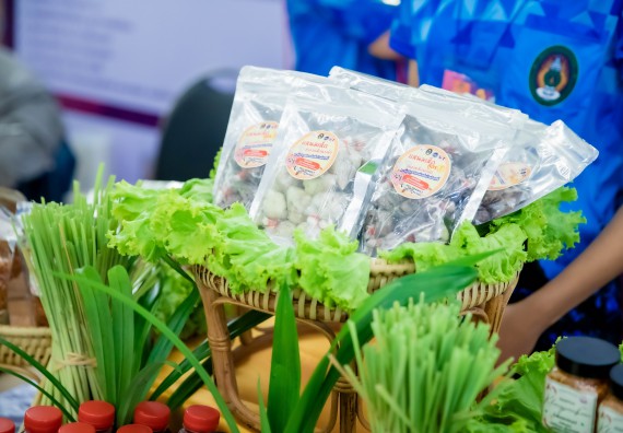 ภาพกิจกรรม  คณบดีคณะวิทยาศาสตร์และเทคโนโลยี พร้อมด้วยรองคณบดีคณะวิทยาศาสตร์และเทคโนโลยี เข้าร่วมชมนิทรรศการแสดงผลงานภายใต้โครงการมหาวิทยาลัยสู่ตำบล สร้างรากแก้วให้ประเทศ หรือ โครงการ U2T ของมหาวิทยาลัยราชภัฏกำแพงเพชร