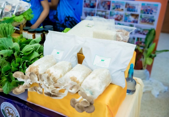 ภาพกิจกรรม  คณบดีคณะวิทยาศาสตร์และเทคโนโลยี พร้อมด้วยรองคณบดีคณะวิทยาศาสตร์และเทคโนโลยี เข้าร่วมชมนิทรรศการแสดงผลงานภายใต้โครงการมหาวิทยาลัยสู่ตำบล สร้างรากแก้วให้ประเทศ หรือ โครงการ U2T ของมหาวิทยาลัยราชภัฏกำแพงเพชร