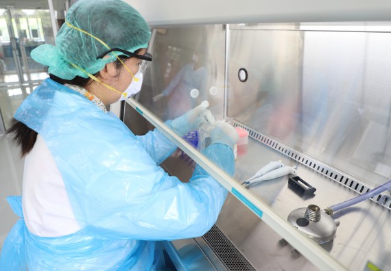 ภาพกิจกรรม  ศูนย์วิทยาศาสตร์และวิทยาศาสตร์ประยุกต์ จัดอบรมเชิงปฏิบัติการสกัด DNA จากตัวอย่างข้าว โดยใช้ชุด DNA extraction kit และการศึกษาวิธีการตรวจโควิด 19 ด้วยวิธี RT-PCR