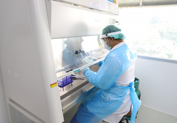 ภาพกิจกรรม  ศูนย์วิทยาศาสตร์และวิทยาศาสตร์ประยุกต์ จัดอบรมเชิงปฏิบัติการสกัด DNA จากตัวอย่างข้าว โดยใช้ชุด DNA extraction kit และการศึกษาวิธีการตรวจโควิด 19 ด้วยวิธี RT-PCR