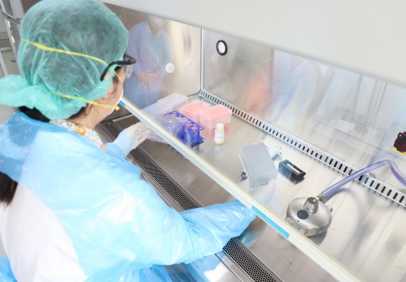 ภาพกิจกรรม  ศูนย์วิทยาศาสตร์และวิทยาศาสตร์ประยุกต์ จัดอบรมเชิงปฏิบัติการสกัด DNA จากตัวอย่างข้าว โดยใช้ชุด DNA extraction kit และการศึกษาวิธีการตรวจโควิด 19 ด้วยวิธี RT-PCR