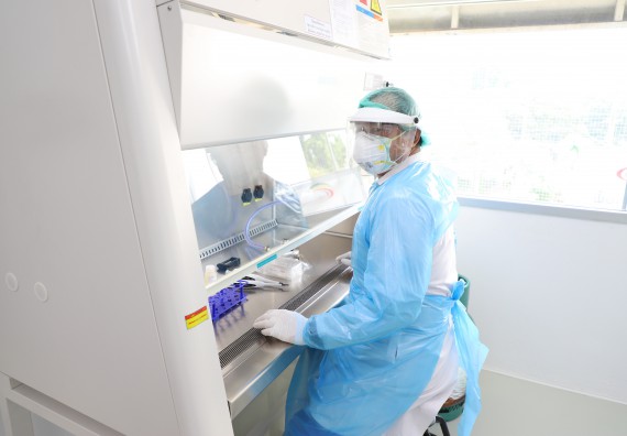 ภาพกิจกรรม  ศูนย์วิทยาศาสตร์และวิทยาศาสตร์ประยุกต์ จัดอบรมเชิงปฏิบัติการสกัด DNA จากตัวอย่างข้าว โดยใช้ชุด DNA extraction kit และการศึกษาวิธีการตรวจโควิด 19 ด้วยวิธี RT-PCR