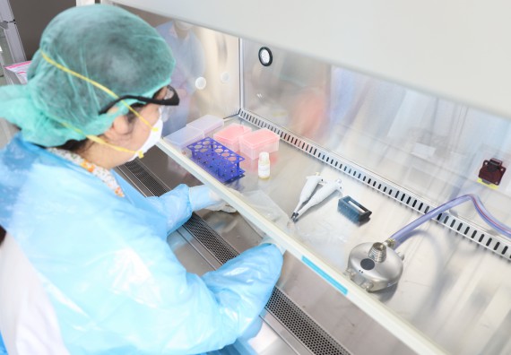 ภาพกิจกรรม  ศูนย์วิทยาศาสตร์และวิทยาศาสตร์ประยุกต์ จัดอบรมเชิงปฏิบัติการสกัด DNA จากตัวอย่างข้าว โดยใช้ชุด DNA extraction kit และการศึกษาวิธีการตรวจโควิด 19 ด้วยวิธี RT-PCR