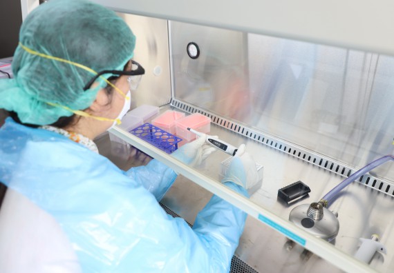 ภาพกิจกรรม  ศูนย์วิทยาศาสตร์และวิทยาศาสตร์ประยุกต์ จัดอบรมเชิงปฏิบัติการสกัด DNA จากตัวอย่างข้าว โดยใช้ชุด DNA extraction kit และการศึกษาวิธีการตรวจโควิด 19 ด้วยวิธี RT-PCR