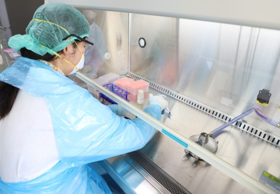 ภาพกิจกรรม  ศูนย์วิทยาศาสตร์และวิทยาศาสตร์ประยุกต์ จัดอบรมเชิงปฏิบัติการสกัด DNA จากตัวอย่างข้าว โดยใช้ชุด DNA extraction kit และการศึกษาวิธีการตรวจโควิด 19 ด้วยวิธี RT-PCR