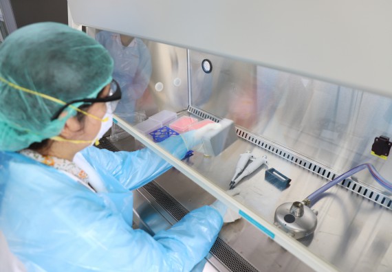 ภาพกิจกรรม  ศูนย์วิทยาศาสตร์และวิทยาศาสตร์ประยุกต์ จัดอบรมเชิงปฏิบัติการสกัด DNA จากตัวอย่างข้าว โดยใช้ชุด DNA extraction kit และการศึกษาวิธีการตรวจโควิด 19 ด้วยวิธี RT-PCR