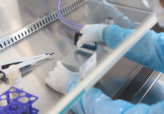 ภาพกิจกรรม  ศูนย์วิทยาศาสตร์และวิทยาศาสตร์ประยุกต์ จัดอบรมเชิงปฏิบัติการสกัด DNA จากตัวอย่างข้าว โดยใช้ชุด DNA extraction kit และการศึกษาวิธีการตรวจโควิด 19 ด้วยวิธี RT-PCR