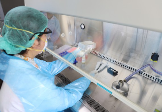 ภาพกิจกรรม  ศูนย์วิทยาศาสตร์และวิทยาศาสตร์ประยุกต์ จัดอบรมเชิงปฏิบัติการสกัด DNA จากตัวอย่างข้าว โดยใช้ชุด DNA extraction kit และการศึกษาวิธีการตรวจโควิด 19 ด้วยวิธี RT-PCR