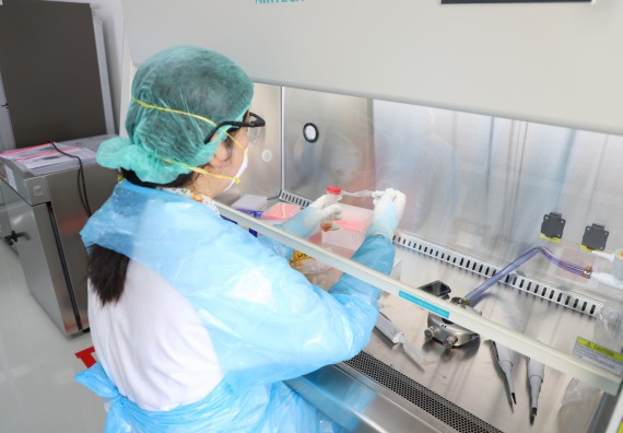 ภาพกิจกรรม  ศูนย์วิทยาศาสตร์และวิทยาศาสตร์ประยุกต์ จัดอบรมเชิงปฏิบัติการสกัด DNA จากตัวอย่างข้าว โดยใช้ชุด DNA extraction kit และการศึกษาวิธีการตรวจโควิด 19 ด้วยวิธี RT-PCR