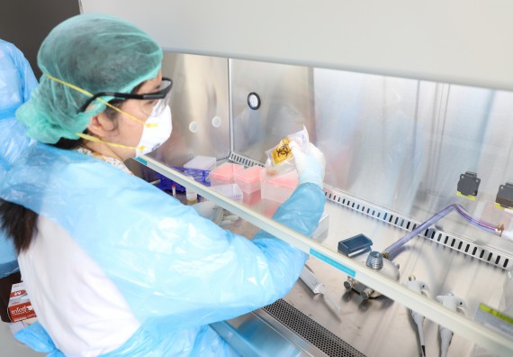 ภาพกิจกรรม  ศูนย์วิทยาศาสตร์และวิทยาศาสตร์ประยุกต์ จัดอบรมเชิงปฏิบัติการสกัด DNA จากตัวอย่างข้าว โดยใช้ชุด DNA extraction kit และการศึกษาวิธีการตรวจโควิด 19 ด้วยวิธี RT-PCR