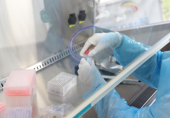 ภาพกิจกรรม  ศูนย์วิทยาศาสตร์และวิทยาศาสตร์ประยุกต์ จัดอบรมเชิงปฏิบัติการสกัด DNA จากตัวอย่างข้าว โดยใช้ชุด DNA extraction kit และการศึกษาวิธีการตรวจโควิด 19 ด้วยวิธี RT-PCR