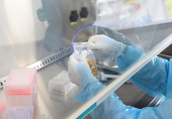 ภาพกิจกรรม  ศูนย์วิทยาศาสตร์และวิทยาศาสตร์ประยุกต์ จัดอบรมเชิงปฏิบัติการสกัด DNA จากตัวอย่างข้าว โดยใช้ชุด DNA extraction kit และการศึกษาวิธีการตรวจโควิด 19 ด้วยวิธี RT-PCR