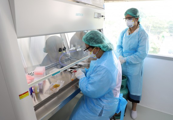 ภาพกิจกรรม  ศูนย์วิทยาศาสตร์และวิทยาศาสตร์ประยุกต์ จัดอบรมเชิงปฏิบัติการสกัด DNA จากตัวอย่างข้าว โดยใช้ชุด DNA extraction kit และการศึกษาวิธีการตรวจโควิด 19 ด้วยวิธี RT-PCR