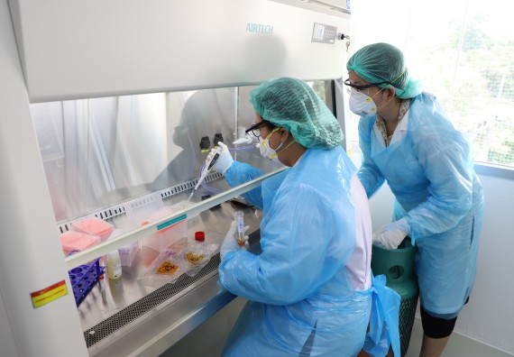 ภาพกิจกรรม  ศูนย์วิทยาศาสตร์และวิทยาศาสตร์ประยุกต์ จัดอบรมเชิงปฏิบัติการสกัด DNA จากตัวอย่างข้าว โดยใช้ชุด DNA extraction kit และการศึกษาวิธีการตรวจโควิด 19 ด้วยวิธี RT-PCR