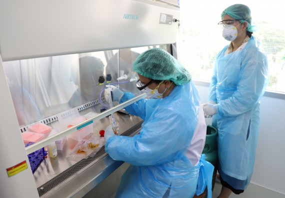 ภาพกิจกรรม  ศูนย์วิทยาศาสตร์และวิทยาศาสตร์ประยุกต์ จัดอบรมเชิงปฏิบัติการสกัด DNA จากตัวอย่างข้าว โดยใช้ชุด DNA extraction kit และการศึกษาวิธีการตรวจโควิด 19 ด้วยวิธี RT-PCR