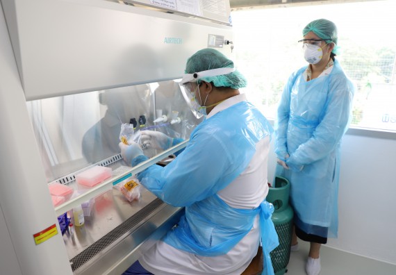 ภาพกิจกรรม  ศูนย์วิทยาศาสตร์และวิทยาศาสตร์ประยุกต์ จัดอบรมเชิงปฏิบัติการสกัด DNA จากตัวอย่างข้าว โดยใช้ชุด DNA extraction kit และการศึกษาวิธีการตรวจโควิด 19 ด้วยวิธี RT-PCR