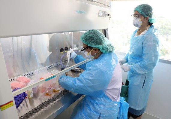 ภาพกิจกรรม  ศูนย์วิทยาศาสตร์และวิทยาศาสตร์ประยุกต์ จัดอบรมเชิงปฏิบัติการสกัด DNA จากตัวอย่างข้าว โดยใช้ชุด DNA extraction kit และการศึกษาวิธีการตรวจโควิด 19 ด้วยวิธี RT-PCR