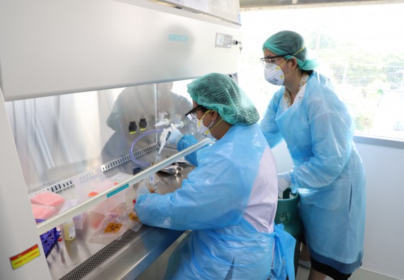 ภาพกิจกรรม  ศูนย์วิทยาศาสตร์และวิทยาศาสตร์ประยุกต์ จัดอบรมเชิงปฏิบัติการสกัด DNA จากตัวอย่างข้าว โดยใช้ชุด DNA extraction kit และการศึกษาวิธีการตรวจโควิด 19 ด้วยวิธี RT-PCR