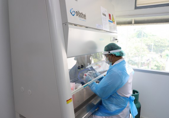 ภาพกิจกรรม  ศูนย์วิทยาศาสตร์และวิทยาศาสตร์ประยุกต์ จัดอบรมเชิงปฏิบัติการสกัด DNA จากตัวอย่างข้าว โดยใช้ชุด DNA extraction kit และการศึกษาวิธีการตรวจโควิด 19 ด้วยวิธี RT-PCR