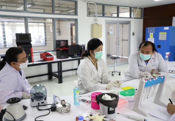 ภาพกิจกรรม  ศูนย์วิทยาศาสตร์และวิทยาศาสตร์ประยุกต์ จัดอบรมเชิงปฏิบัติการสกัด DNA จากตัวอย่างข้าว โดยใช้ชุด DNA extraction kit และการศึกษาวิธีการตรวจโควิด 19 ด้วยวิธี RT-PCR