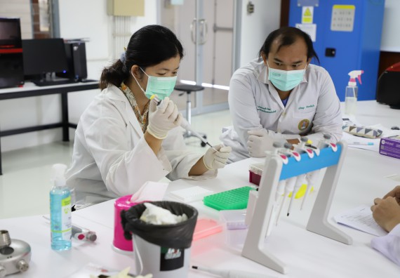 ภาพกิจกรรม  ศูนย์วิทยาศาสตร์และวิทยาศาสตร์ประยุกต์ จัดอบรมเชิงปฏิบัติการสกัด DNA จากตัวอย่างข้าว โดยใช้ชุด DNA extraction kit และการศึกษาวิธีการตรวจโควิด 19 ด้วยวิธี RT-PCR