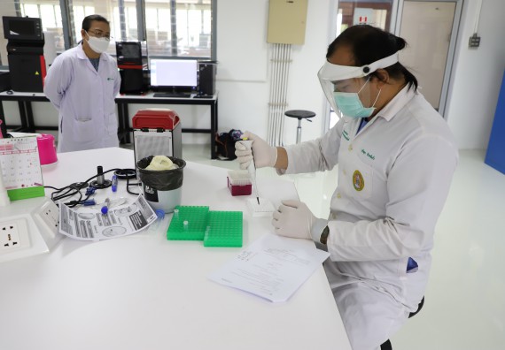 ภาพกิจกรรม  ศูนย์วิทยาศาสตร์และวิทยาศาสตร์ประยุกต์ จัดอบรมเชิงปฏิบัติการสกัด DNA จากตัวอย่างข้าว โดยใช้ชุด DNA extraction kit และการศึกษาวิธีการตรวจโควิด 19 ด้วยวิธี RT-PCR