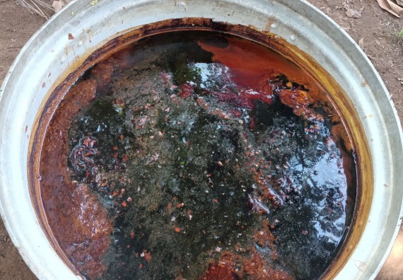 ภาพกิจกรรม  โปรแกรมวิชาเคมี จัดการฝึกอบมเชิงปฏิบัติการการย้อมเส้นด้ายฝ้ายด้วยสีจากธรรมชาติ