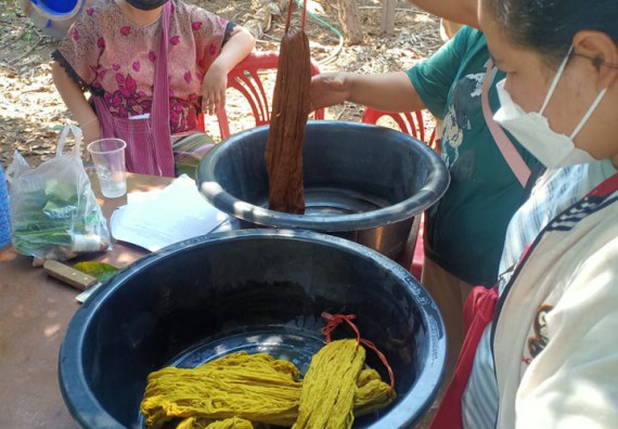 ภาพกิจกรรม  โปรแกรมวิชาเคมี จัดการฝึกอบมเชิงปฏิบัติการการย้อมเส้นด้ายฝ้ายด้วยสีจากธรรมชาติ