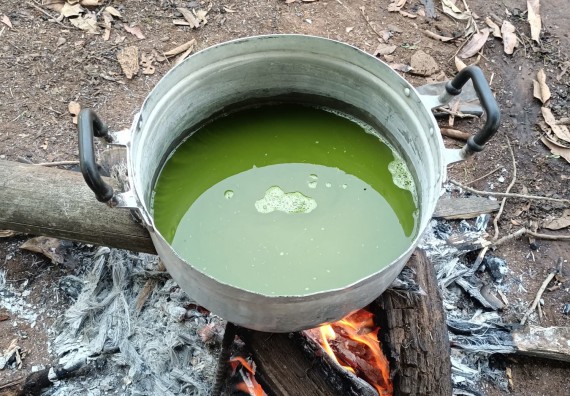 ภาพกิจกรรม  โปรแกรมวิชาเคมี จัดการฝึกอบมเชิงปฏิบัติการการย้อมเส้นด้ายฝ้ายด้วยสีจากธรรมชาติ