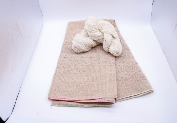 ภาพกิจกรรม  คณะวิทยาศาสตร์และเทคโนโลยี จัดอบรมเชิงปฏิบัติการ เรื่อง การถ่ายทอดเทคโนโลยีประชาสัมพันธ์เพื่อการตลาดและส่งเสริมการขาย