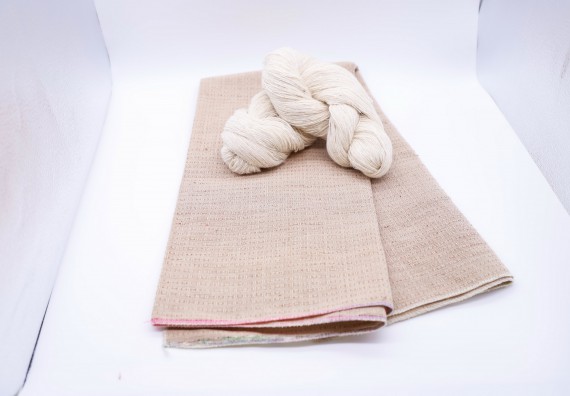 ภาพกิจกรรม  คณะวิทยาศาสตร์และเทคโนโลยี จัดอบรมเชิงปฏิบัติการ เรื่อง การถ่ายทอดเทคโนโลยีประชาสัมพันธ์เพื่อการตลาดและส่งเสริมการขาย