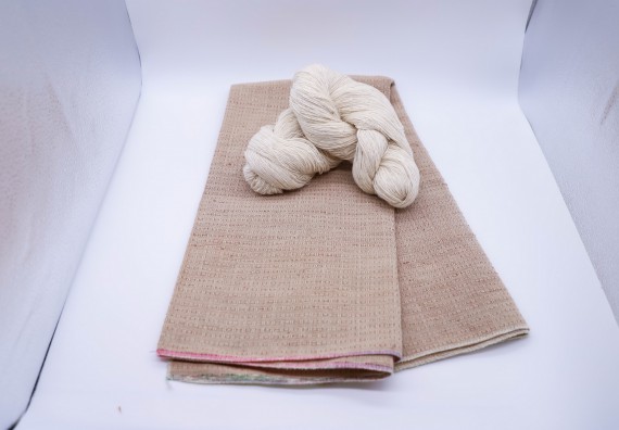 ภาพกิจกรรม  คณะวิทยาศาสตร์และเทคโนโลยี จัดอบรมเชิงปฏิบัติการ เรื่อง การถ่ายทอดเทคโนโลยีประชาสัมพันธ์เพื่อการตลาดและส่งเสริมการขาย