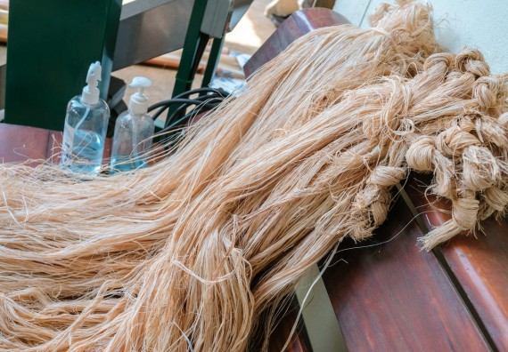 ภาพกิจกรรมคณะวิทยาศาสตร์และเทคโนโลยี จัดอบรมเชิงปฏิบัติการ เรื่อง การปั่นด้ายจากใยกล้วยผสมฝ้าย