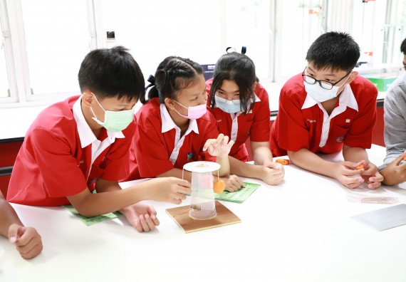 ภาพกิจกรรม  คณะวิทยาศาสตร์และเทคโนโลยี จัดโครงการค่ายวิทยาศาสตร์นักเรียนห้องเรียนพิเศษวิทยาศาสตร์  และโครงการค่ายวิทยาศาสตร์นักเรียนห้องเรียนพิเศษวิทยาศาสตร์เทคโนโลยี ภาษาอังกฤษ คณิตศาสตร์ (STEM) ระดับชั้นมัธยมศึกษาปีที่ 2