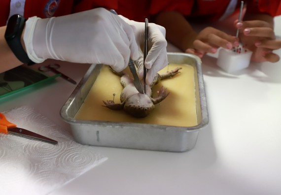 ภาพกิจกรรม  คณะวิทยาศาสตร์และเทคโนโลยี จัดโครงการค่ายวิทยาศาสตร์นักเรียนห้องเรียนพิเศษวิทยาศาสตร์  และโครงการค่ายวิทยาศาสตร์นักเรียนห้องเรียนพิเศษวิทยาศาสตร์เทคโนโลยี ภาษาอังกฤษ คณิตศาสตร์ (STEM) ระดับชั้นมัธยมศึกษาปีที่ 2