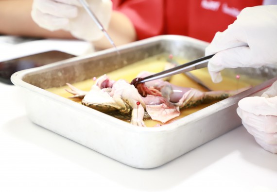 ภาพกิจกรรม  คณะวิทยาศาสตร์และเทคโนโลยี จัดโครงการค่ายวิทยาศาสตร์นักเรียนห้องเรียนพิเศษวิทยาศาสตร์  และโครงการค่ายวิทยาศาสตร์นักเรียนห้องเรียนพิเศษวิทยาศาสตร์เทคโนโลยี ภาษาอังกฤษ คณิตศาสตร์ (STEM) ระดับชั้นมัธยมศึกษาปีที่ 2