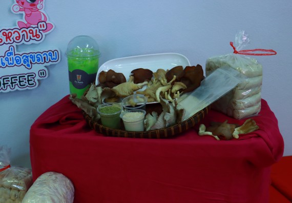 ภาพกิจกรรม  คณะวิทยาศาสตร์และเทคโนโลยีมหาวิทยาลัยราชภัฏกำแพงเพชร จัดงานสัปดาห์วิทยาศาสตร์แห่งชาติ ส่วนภูมิภาค ประจำปี 2565