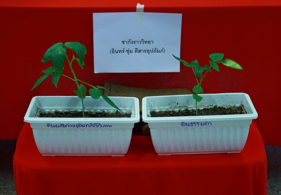 ภาพกิจกรรม  คณะวิทยาศาสตร์และเทคโนโลยีมหาวิทยาลัยราชภัฏกำแพงเพชร จัดงานสัปดาห์วิทยาศาสตร์แห่งชาติ ส่วนภูมิภาค ประจำปี 2565