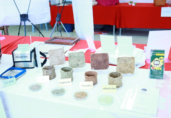 ภาพกิจกรรม  คณะวิทยาศาสตร์และเทคโนโลยีมหาวิทยาลัยราชภัฏกำแพงเพชร จัดงานสัปดาห์วิทยาศาสตร์แห่งชาติ ส่วนภูมิภาค ประจำปี 2565